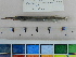  ( - KJ06)  @11 [ ] CreativeCommons  Attribution Non-Commercial Share-Alike (2010) Unspecified Universiti Sains Malaysia
