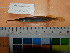  ( - PLG01)  @11 [ ] CreativeCommons  Attribution Non-Commercial Share-Alike (2010) Unspecified Universiti Sains Malaysia