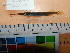  ( - PLG02)  @11 [ ] CreativeCommons  Attribution Non-Commercial Share-Alike (2010) Unspecified Universiti Sains Malaysia