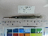  ( - PT05)  @11 [ ] CreativeCommons  Attribution Non-Commercial Share-Alike (2010) Unspecified Universiti Sains Malaysia