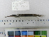  ( - PTG01)  @11 [ ] CreativeCommons  Attribution Non-Commercial Share-Alike (2010) Unspecified Universiti Sains Malaysia
