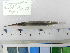  ( - PTG02)  @11 [ ] CreativeCommons  Attribution Non-Commercial Share-Alike (2010) Unspecified Universiti Sains Malaysia