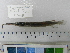  ( - PTG05)  @11 [ ] CreativeCommons  Attribution Non-Commercial Share-Alike (2010) Unspecified Universiti Sains Malaysia