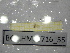  ( - BGE.HMS0716_55)  @11 [ ] CreativeCommons Attribution (2024) Dept Invertebrate Zoology and Hydrobiology, University of Lodz University of Lodz