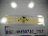  ( - BGE.HMS0716_217)  @11 [ ] CreativeCommons Attribution (2024) Dept Invertebrate Zoology and Hydrobiology, University of Lodz University of Lodz