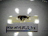  ( - BGE.HMS0716_246)  @11 [ ] CreativeCommons Attribution (2024) Dept Invertebrate Zoology and Hydrobiology, University of Lodz University of Lodz