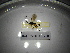  ( - BGE.HMS0716_250)  @11 [ ] CreativeCommons Attribution (2024) Dept Invertebrate Zoology and Hydrobiology, University of Lodz University of Lodz