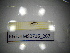  ( - BGE.HMS0716_267)  @11 [ ] CreativeCommons Attribution (2024) Dept Invertebrate Zoology and Hydrobiology, University of Lodz University of Lodz