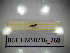  ( - BGE.HMS0716_268)  @11 [ ] CreativeCommons Attribution (2024) Dept Invertebrate Zoology and Hydrobiology, University of Lodz University of Lodz