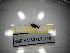  ( - BGE.HMS0716_348)  @11 [ ] CreativeCommons Attribution (2024) Dept Invertebrate Zoology and Hydrobiology, University of Lodz University of Lodz