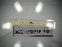  ( - BGE.HMS0716_380)  @11 [ ] CreativeCommons Attribution (2024) Dept Invertebrate Zoology and Hydrobiology, University of Lodz University of Lodz