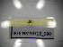  (Megaselia mcleani - BGE.HMS0716_590)  @11 [ ] CreativeCommons Attribution (2024) Dept Invertebrate Zoology and Hydrobiology, University of Lodz University of Lodz