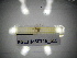  (Conchapelopia pallidula - BGE.HMS0716_615)  @11 [ ] CreativeCommons Attribution (2024) Dept Invertebrate Zoology and Hydrobiology, University of Lodz University of Lodz