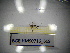  ( - BGE.HMS0716_669)  @11 [ ] CreativeCommons Attribution (2024) Dept Invertebrate Zoology and Hydrobiology, University of Lodz University of Lodz