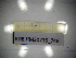  ( - BGE.HMS0716_746)  @11 [ ] CreativeCommons Attribution (2024) Dept Invertebrate Zoology and Hydrobiology, University of Lodz University of Lodz