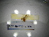  ( - BGE.HMS0716_824)  @11 [ ] CreativeCommons Attribution (2024) Dept Invertebrate Zoology and Hydrobiology, University of Lodz University of Lodz