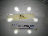  ( - BGE.HMS0716_828)  @11 [ ] CreativeCommons Attribution (2024) Dept Invertebrate Zoology and Hydrobiology, University of Lodz University of Lodz