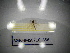  ( - BGE.HMS0716_856)  @11 [ ] CreativeCommons Attribution (2024) Dept Invertebrate Zoology and Hydrobiology, University of Lodz University of Lodz