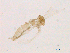  ( - WSAMAP-13008)  @11 [ ] creative commons  non-commercial only (2013) UNAH UNAH