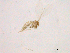  ( - WSAMAP-13009)  @11 [ ] creative commons  non-commercial only (2013) UNAH UNAH