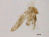  ( - WSAMAP-13010)  @11 [ ] creative commons  non-commercial only (2013) UNAH UNAH