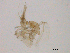  ( - WSAMAP-13011)  @11 [ ] creative commons  non-commercial only (2013) UNAH UNAH