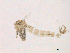  ( - WSAMAP-13018)  @11 [ ] creative commons  non-commercial only (2013) UNAH UNAH