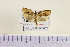  ( - HNU052)  @12 [ ] CreativeCommons - Attribution Share-Alike (2015) Unspecified Seoul National Uiversity