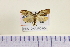  ( - HNU054)  @12 [ ] CreativeCommons - Attribution Share-Alike (2015) Unspecified Seoul National Uiversity