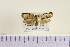  ( - HNU055)  @12 [ ] CreativeCommons - Attribution Share-Alike (2015) Unspecified Seoul National Uiversity