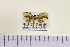  ( - HNU058)  @13 [ ] CreativeCommons - Attribution Share-Alike (2015) Unspecified Seoul National Uiversity