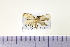  ( - HNU062)  @13 [ ] CreativeCommons - Attribution Share-Alike (2015) Unspecified Seoul National Uiversity