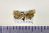  ( - HNU064)  @13 [ ] CreativeCommons - Attribution Share-Alike (2015) Unspecified Seoul National Uiversity