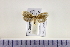  ( - HNU066)  @11 [ ] CreativeCommons - Attribution Share-Alike (2015) Unspecified Seoul National Uiversity