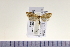 ( - HNU113)  @13 [ ] CreativeCommons - Attribution Share-Alike (2015) Unspecified Seoul National Uiversity