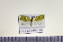  ( - HNU155)  @11 [ ] CreativeCommons - Attribution Share-Alike (2015) Unspecified Seoul National Uiversity