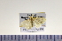  ( - HNU159)  @12 [ ] CreativeCommons - Attribution Share-Alike (2015) Unspecified Seoul National Uiversity
