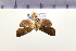  ( - HNU268)  @13 [ ] CreativeCommons - Attribution Share-Alike (2015) Unspecified Seoul National Uiversity