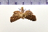  ( - HNU269)  @13 [ ] CreativeCommons - Attribution Share-Alike (2015) Unspecified Seoul National Uiversity