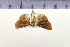  ( - HNU271)  @13 [ ] CreativeCommons - Attribution Share-Alike (2015) Unspecified Seoul National Uiversity