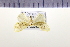  ( - HNU275)  @11 [ ] CreativeCommons - Attribution Share-Alike (2015) Unspecified Seoul National Uiversity