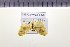  ( - HNU280)  @13 [ ] CreativeCommons - Attribution Share-Alike (2015) Unspecified Seoul National Uiversity