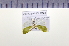  ( - HNU287)  @11 [ ] CreativeCommons - Attribution Share-Alike (2015) Unspecified Seoul National Uiversity