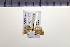  ( - HNU302)  @13 [ ] CreativeCommons - Attribution Share-Alike (2015) Unspecified Seoul National Uiversity