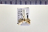  ( - HNU305)  @13 [ ] CreativeCommons - Attribution Share-Alike (2015) Unspecified Seoul National Uiversity