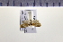  ( - HNU307)  @13 [ ] CreativeCommons - Attribution Share-Alike (2015) Unspecified Seoul National Uiversity