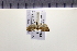  ( - HNU308)  @13 [ ] CreativeCommons - Attribution Share-Alike (2015) Unspecified Seoul National Uiversity