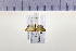  ( - HNU 867)  @12 [ ] CreativeCommons - Attribution Share-Alike (2015) Unspecified Seoul National Uiversity