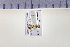  ( - HNU 895)  @12 [ ] CreativeCommons - Attribution Share-Alike (2015) Unspecified Seoul National Uiversity