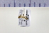 ( - HNU 897)  @12 [ ] CreativeCommons - Attribution Share-Alike (2015) Unspecified Seoul National Uiversity